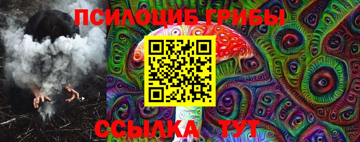 Галлюциногенные грибы Psilocybe  Вход с VPN  Сальск 